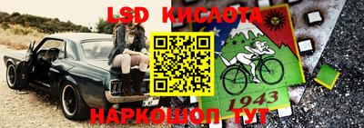 MDMA Гай