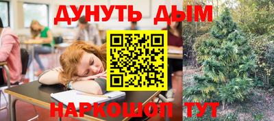 дживик Гатчина